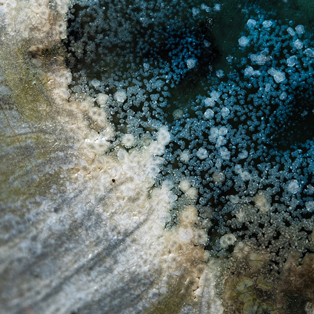 菅原一樹　glaze CD